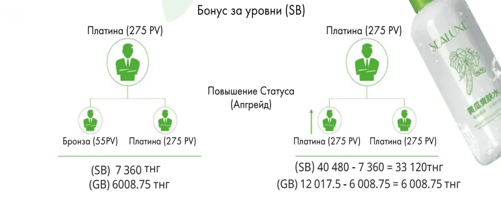 Структура MLM слайд 2